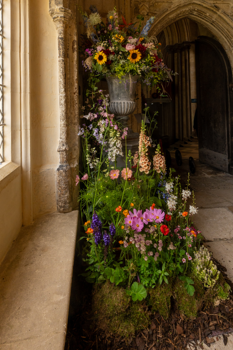 Photography by Chris Allington
